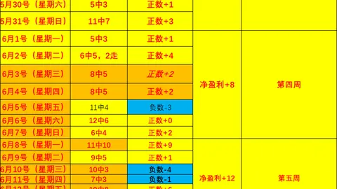 世界杯，世界杯历史， 104305